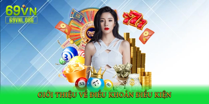 Giới thiệu về Điều khoản Điều kiện